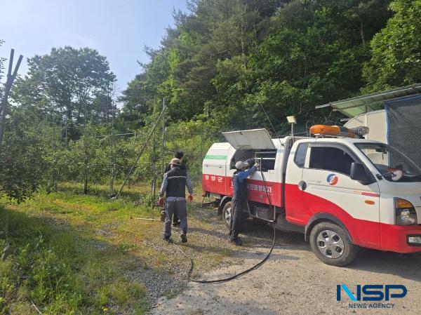 NSP통신-영양군은 지난 2일부터 오는 30일까지 한달간 농작물에 피해를 주는 돌발해충 방제에 총력을 기울이고 있으며 10일 공동방제의 날을 지정해 영양군 산림녹지과, 영덕국유림관리소와 협업, 돌발해충 공동방제를 실시했다. (사진 = 영양군)