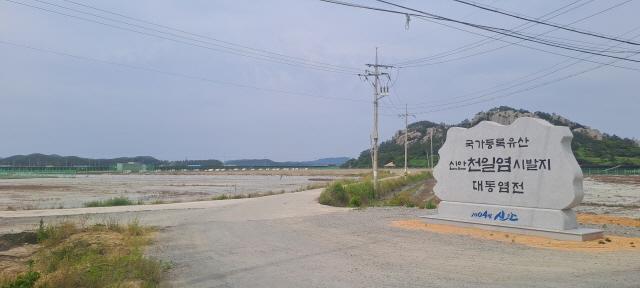 NSP통신-가산리 국가등록유산 대동염전 표지석 시발지 오기 (사진 = 윤시현 기자)