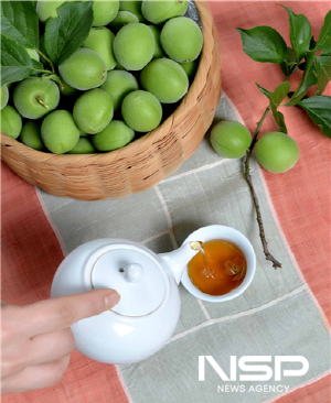 NSP통신-광양매실 (사진 = 광양시청)