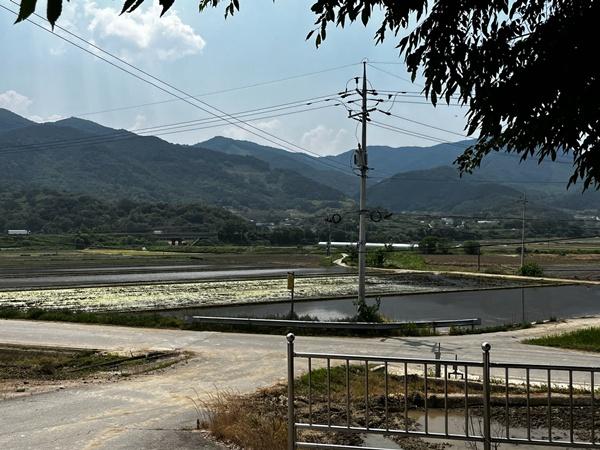 NSP통신-곡성군 석곡면 당지마을 앞 농경지. (사진 = 곡성군)