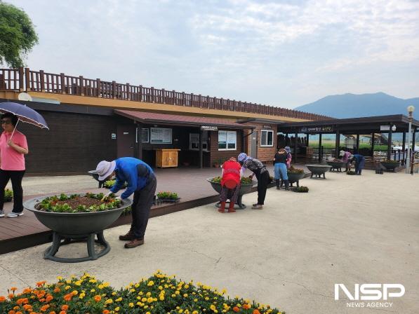 NSP통신-순천시 공공일자리 참여자들이 순천만습지에서 환경정비 일자리사업에 참여하고 있다 (사진 = 순천시)
