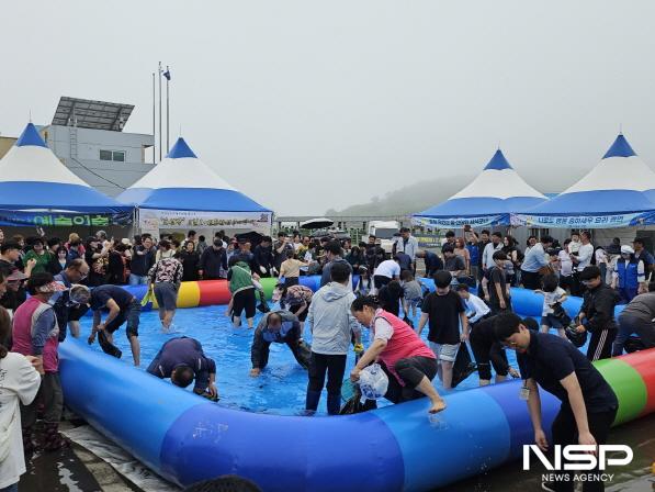 NSP통신-고흥군은 지난 13일부터 15일까지 3일간 제8회 나로도 청정 수산물축제를 개최했다-맨손 장어잡기 (사진 = 고흥군)