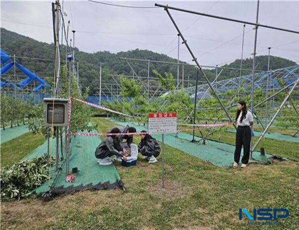 NSP통신-의성군은 지난 13일 농업기술센터 직원을 대상으로 화상병 발생 시 현장 대응능력 강화를 위한 모의훈련을 실시했다. (사진 = 의성군)
