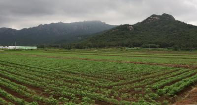 [NSP PHOTO]전남도, 여름철 농작물 재해보험 집중 가입 독려