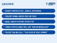 [NSP PHOTO][금융업계동향]가계부채 가파른 상승세 금융당국, 은행 현장점검