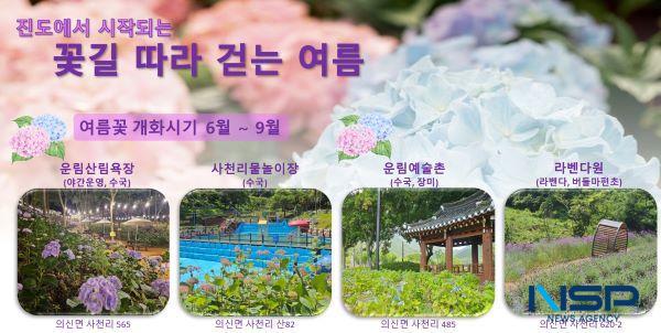 NSP통신- (사진 = 진도군)