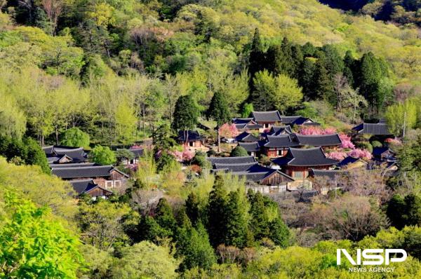 NSP통신-세계문화유산인 순천 선암사 (사진 = 순천시)