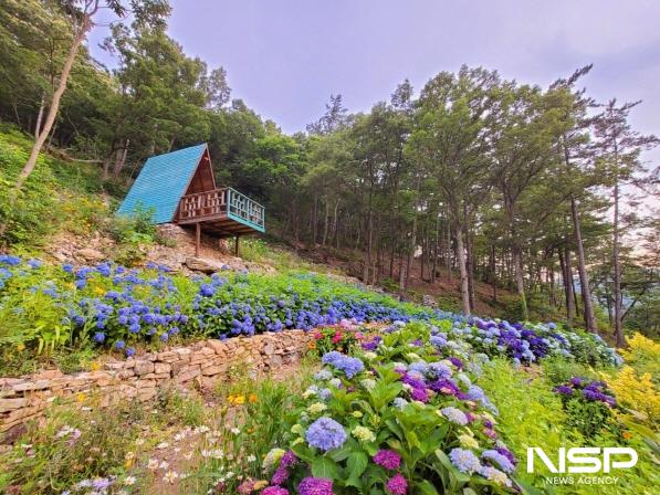 NSP통신-전남도내 민간정원과 수목원 수국축제 (사진 = 전남도)