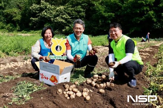 NSP통신-이돈성 조합장 감자 수확 (사진 = 동광양농협)