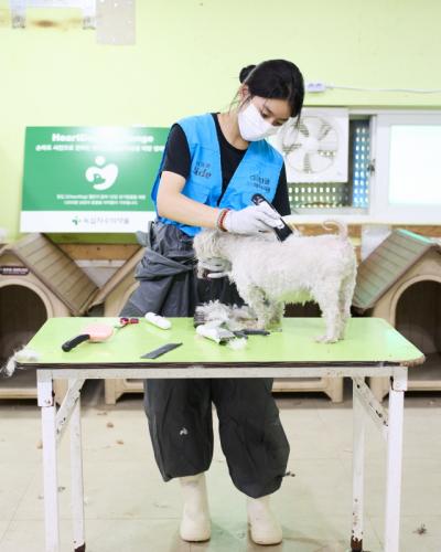 [NSP PHOTO]리루미용봉사단 용인 레인보우쉼터서 재능기부 활동 펼쳐