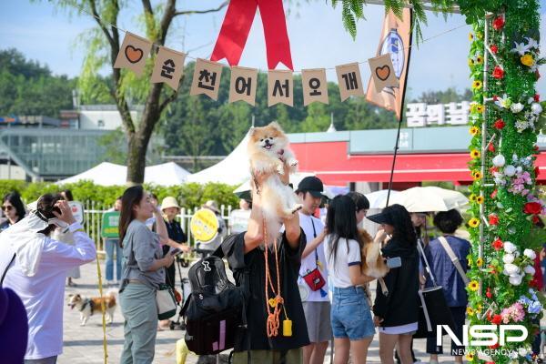 NSP통신-순천만국가정원에서 개장 이후 처음으로 반려견과 함께 정원을 산책할 수 있는 펫데이 이벤트가 열렸다 (사진 = 순천시)