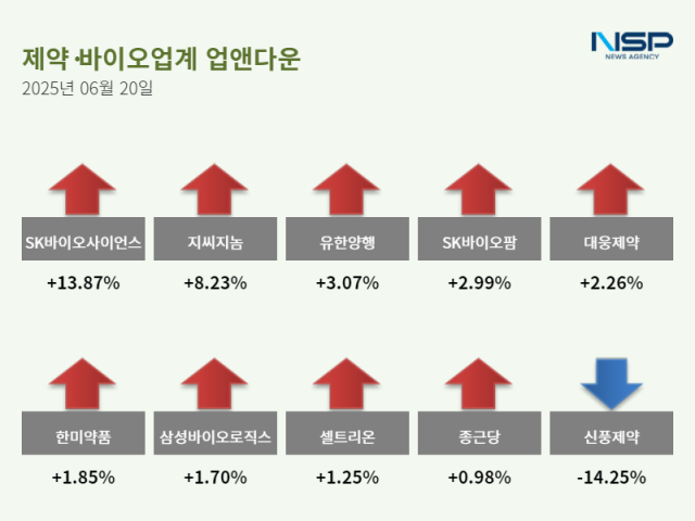 NSP통신- (그래프 = 문석희 기자)