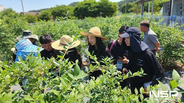 NSP통신-진안군귀농귀촌종합지원센터는 6월 23일부터 7월 11일까지 3주간 진행되는 2025년 귀농산촌 청년캠프 꿀벌활동단을 시작했다. (사진 = 진안군)
