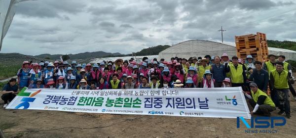 NSP통신-경상북도개발공사는 6월 나눔 실천의 달을 맞아 지난 20일 지역사회 회복과 주거환경 개선을 위한 봉사활동을 경북 안동시 일직면 마을과 예천군 예천읍 노상리 일원에서 실시했다. (사진 = 경상북도개발공사)