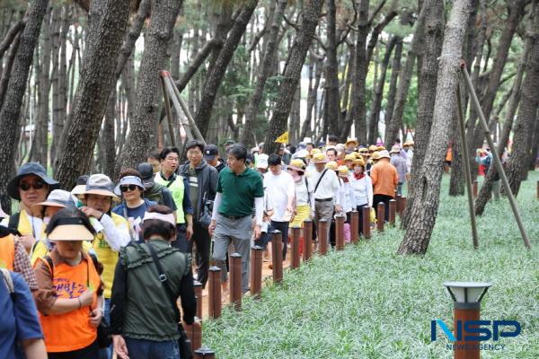 [NSP PHOTO]걷기 좋은 도시 포항, 제3회 대한민국 맨발걷기 축제 성료