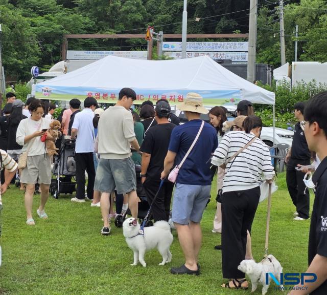 NSP통신-시흥시의 반려동물 축제 우리동네 개체능 모습. (사진 = 김종식 기자)