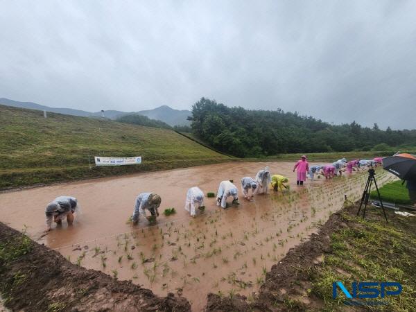 NSP통신-의성군은 지난 21일 국가중요농업유산이자 세계관개시설물유산(WHIS)인 의성 전통수리 농업시스템의 핵심지역인 금성면 운곡리에서 제6회 첫물 내리기 풍년 기원 행사를 성황리에 마쳤다. (사진 = 의성군)