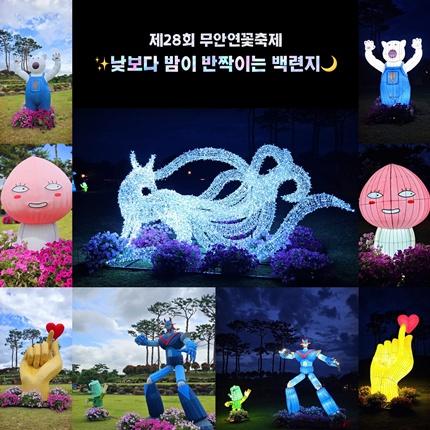 NSP통신-무안연꽃축제장에 조성된 유등 전경 (사진 = 무안군)