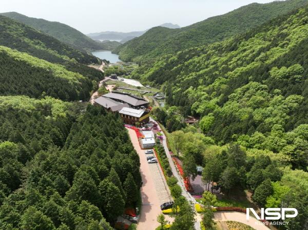 NSP통신-고흥 팔영산 편백 치유의 숲 (사진 = 고흥군)