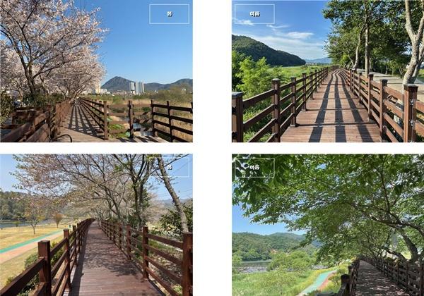 NSP통신- (사진 = 장흥군)