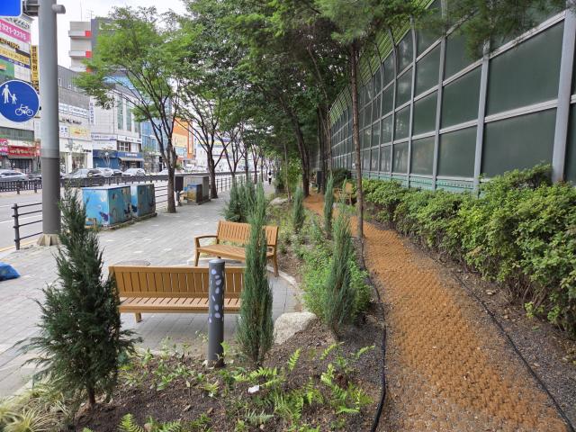 NSP통신-명지대 사거리 완충녹지 개선 후 모습. (사진 = 용인특례시)