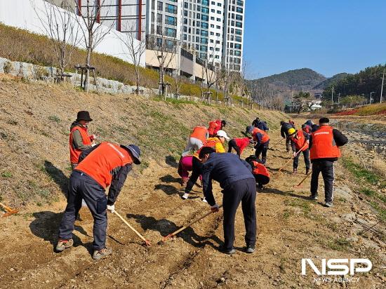 NSP통신-골약동주민자치위원들 해바라기 씨앗 파종 (사진 = 광양시청)