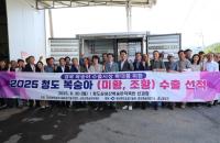 [NSP PHOTO]청도복숭아, 2025년 첫 수출