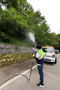 [NSP PHOTO]안산시, 러브버그 대비 친환경 예방 및 홍보 병행 추진