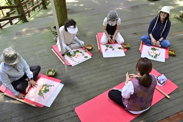 NSP통신-무안군 물맞이 치유의 숲에서 산림치유 프로그램에 참여 중인 군민들 모습 (사진 = 무안군)