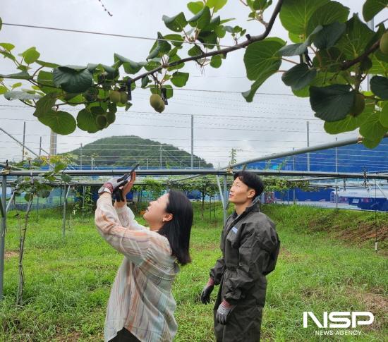 NSP통신-농작물 예찰 활동 (사진 = 광양시청)