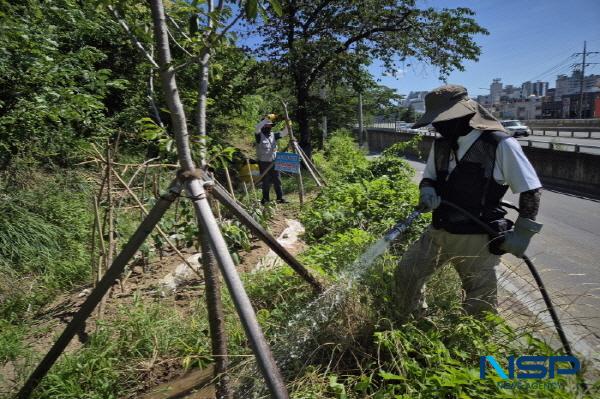 NSP통신-포항시는 최근 계속되는 기록적 폭염과 가뭄으로 인한 수목 고사 우려에 대응해 시 전역 주요 녹지와 가로수를 대상으로 비상 관수 작업에 돌입했다고 3일 밝혔다. (사진 = 포항시)