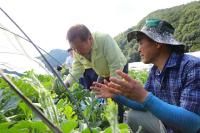 [NSP PHOTO]전춘성 진안군수, 여름철 장마·폭염대비 영농 현장방문
