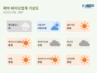 [NSP PHOTO][제약·바이오업계기상도]콜마홀딩스 비·대웅제약 비온뒤갬
