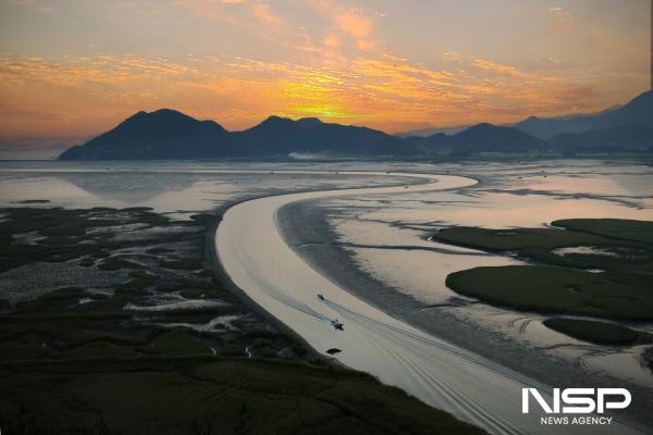 NSP통신-세계자연유산 순천갯벌 (사진 = 순천시)