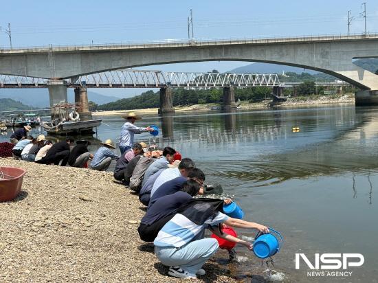 NSP통신-메기 8만 마리와 동남참게 6만 마리 방류 (사진 = 광양시청)