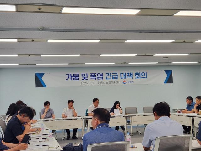 NSP통신-강릉시에서 가뭄·폭염 영농 긴급대책 회의를 개최한 모습. (사진 = 강릉시)
