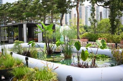 [NSP NEWS Image]수원시 일월수목원 여름 특별전 물의 정원 수원 개최