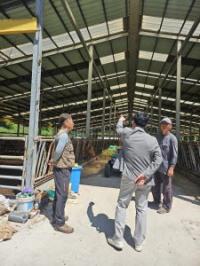 [NSP PHOTO]영양군, 폭염 대비 가축·축사 시설 현장 점검 추진