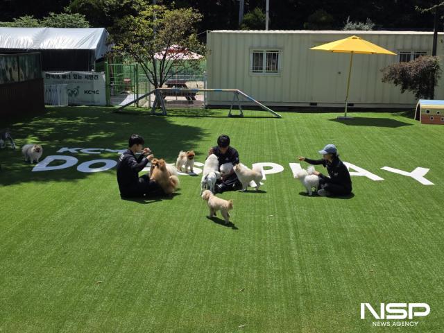 NSP통신-독스앤플레이(Dogs&Play) 전경. (사진 = 김종식 기자)