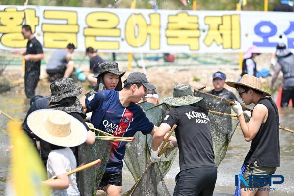 NSP통신-영덕군의 대표 여름 축제 2025 영덕황금은어축제가 다음달 2일부터 4일까지 영덕읍 오십천 둔치 일대에서 펼쳐진다. (사진 = 영덕군)