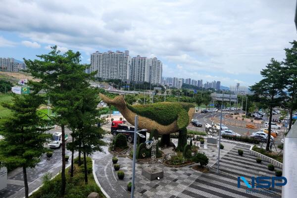 NSP통신-포항시는 오는 10월 말~11월 초 경주에서 열리는 APEC(아시아태평양경제협력체) 정상회의를 앞두고 국내외 대표단과 외빈을 맞이할 환영 경관 조성에 본격 착수했다. (사진 = 포항시)