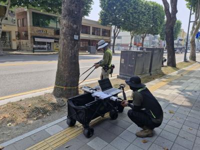 [NSP PHOTO]수원시 태풍 대비 가로수 정밀 안전진단 실시