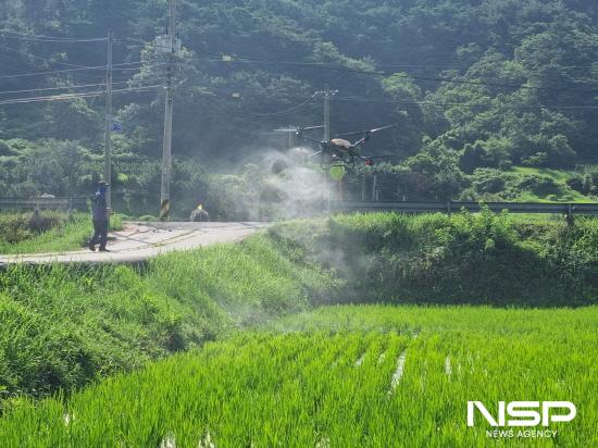 NSP통신-드론을 활용한 벼 친환경단지 공동방제 (사진 = 구례군청)