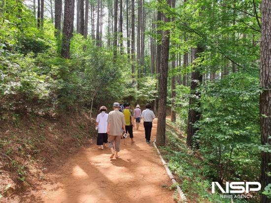 NSP통신-숲길 걷기 (사진 = 광양시청)