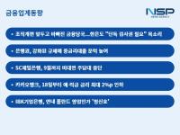 [NSP PHOTO][금융업계동향]금융당국은 기싸움…중·저신용자는 암담
