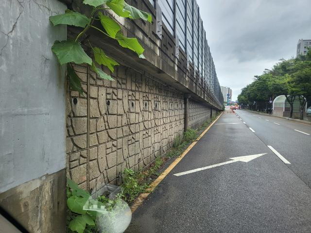 NSP통신-17일 점검한 영통고가차도 옹벽 모습. (사진 = 오산시)