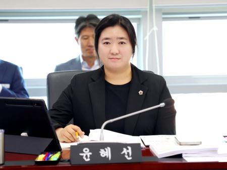 NSP통신-윤혜선 성남시의원. (사진 = 윤혜선 의원실)