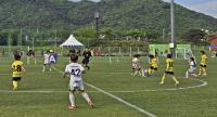 [NSP PHOTO]경주시, 2025 화랑대기 전국 유소년 축구대회 개최...역대 최대 규모