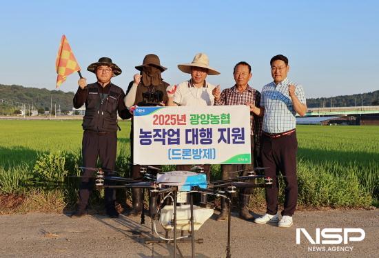 NSP통신-광양농협 드론공동방제 농작업대행서비스 지원 (사진 = 광양농협)