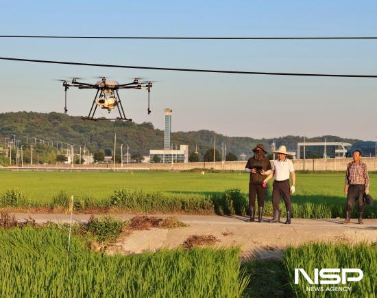 NSP통신-드론공동방제 (사진 = 광양농협)